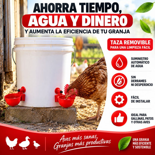 Bebedero de Aves - Agua Limpia Aves Saludables!