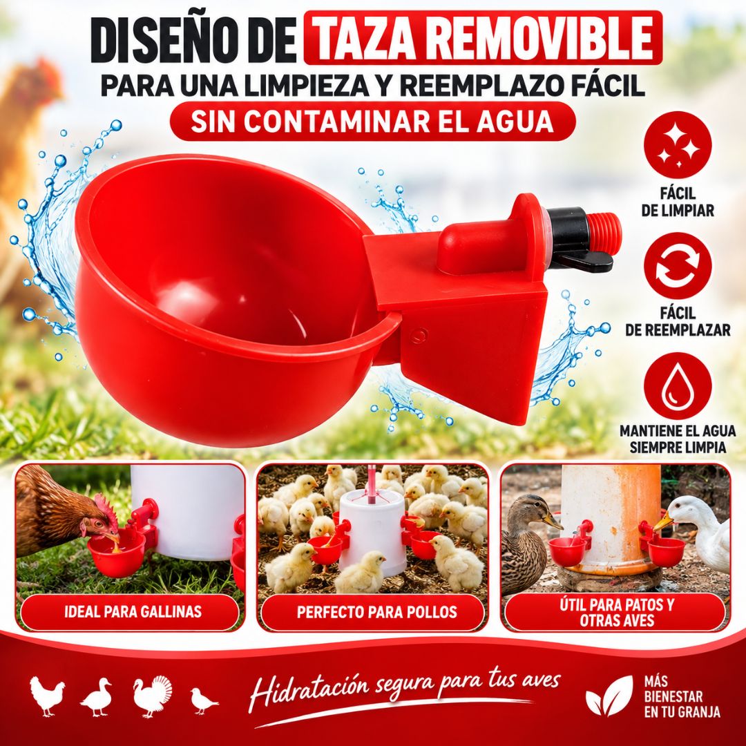 Bebedero de Aves - Agua Limpia Aves Saludables!