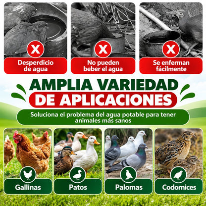 Bebedero de Aves - Agua Limpia Aves Saludables!
