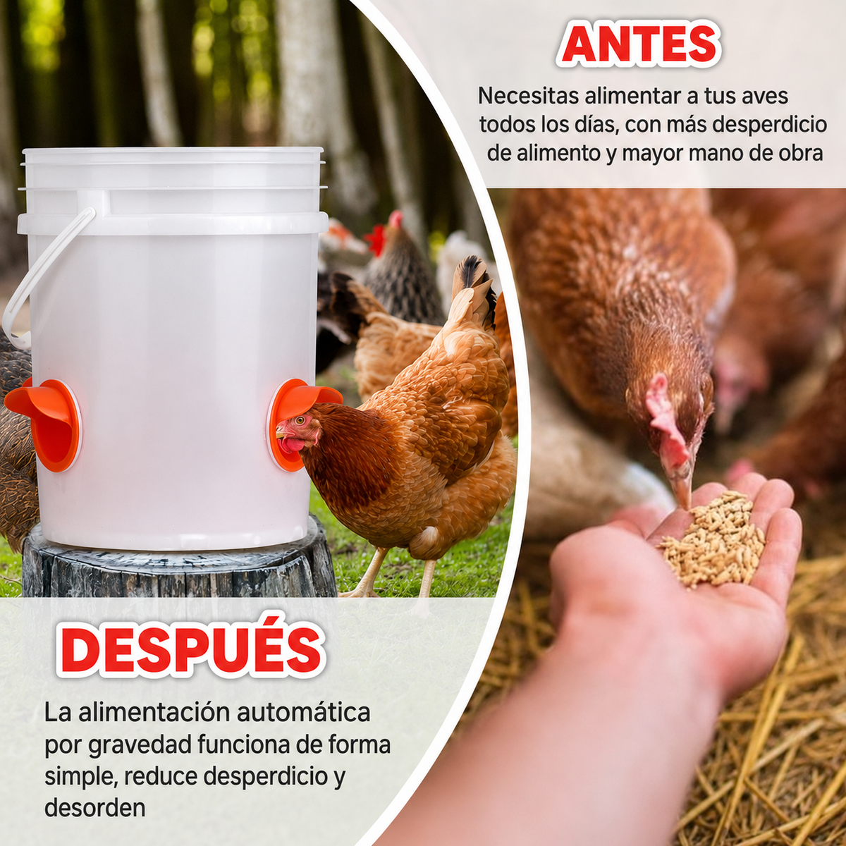 PACK X4 COMEDEROS – ALIMENTO LIMPIO Y SIEMPRE DISPONIBLE!