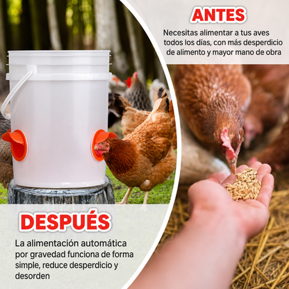 PACK X4 COMEDEROS – ALIMENTO LIMPIO Y SIEMPRE DISPONIBLE!