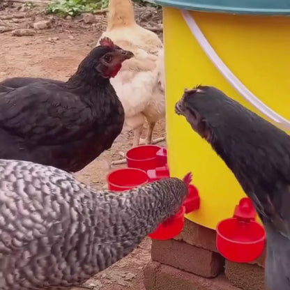Bebedero de Aves - Agua Limpia Aves Saludables!